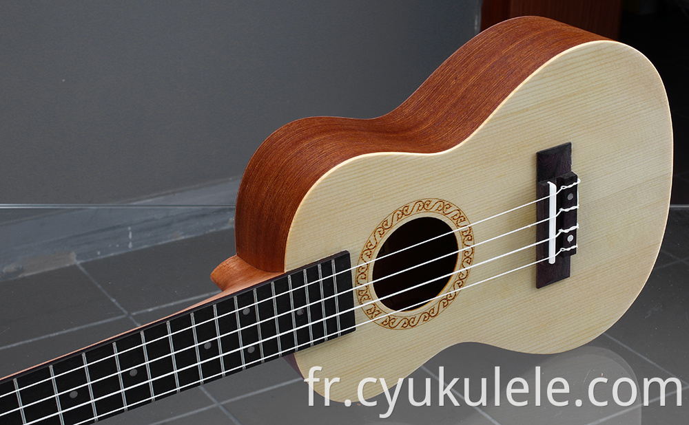 ukulele28